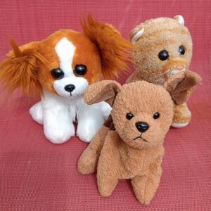 Ty Pets! 🐶😺🐶 Plush Lot of 3